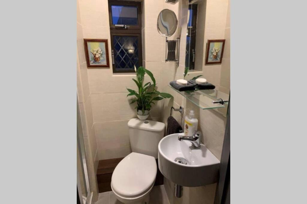 Upstairs Studio - Private Kitchenette And Small En-Suite Dublin Eksteriør bilde