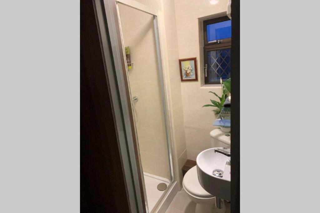Upstairs Studio - Private Kitchenette And Small En-Suite Dublin Eksteriør bilde